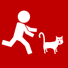 courir derrière le chat